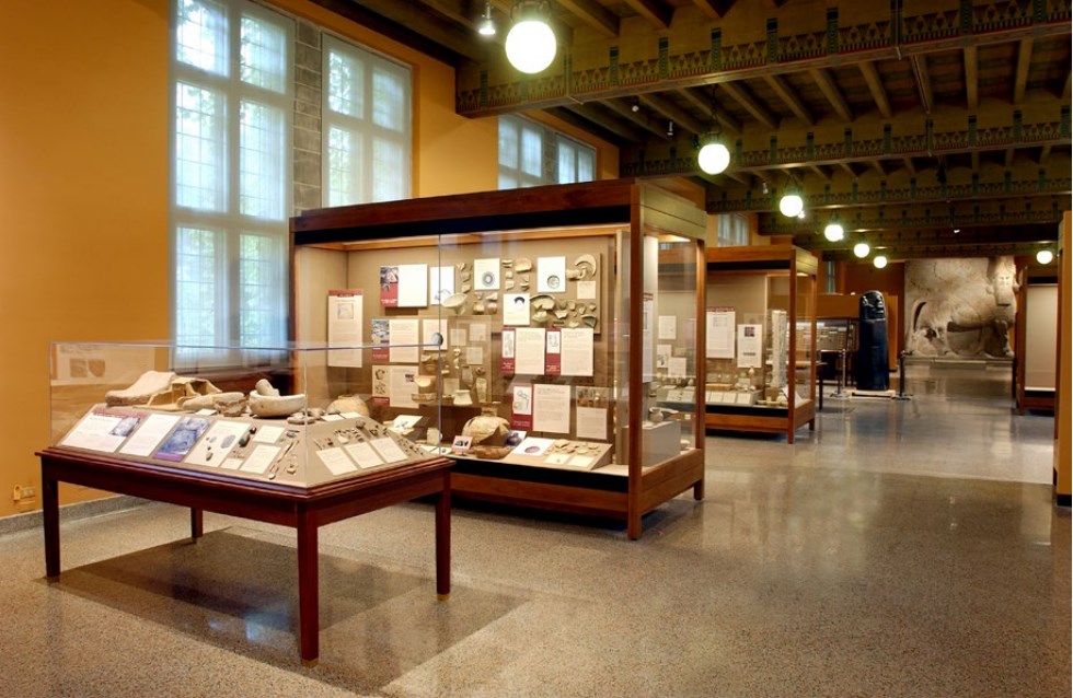 九五至尊VI-老品牌值得信任!