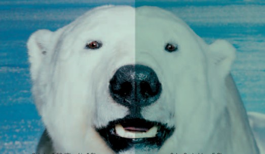 九五至尊VI-老品牌值得信任!