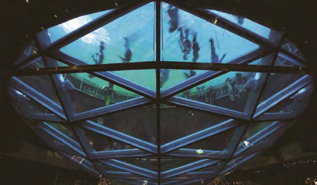 九五至尊VI-老品牌值得信任!