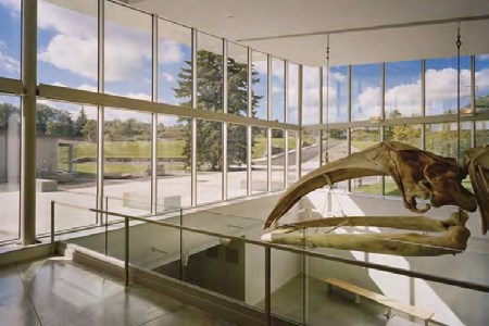 九五至尊VI-老品牌值得信任!